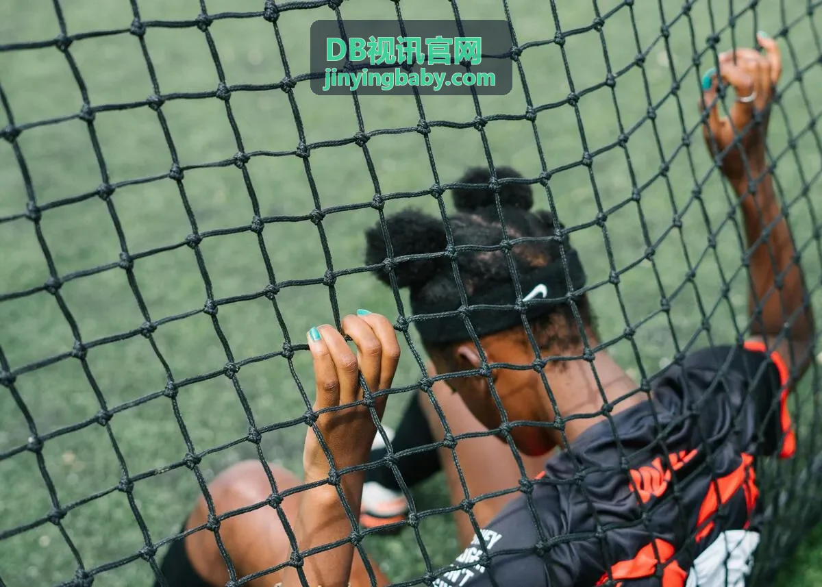 DB视讯API接口集成